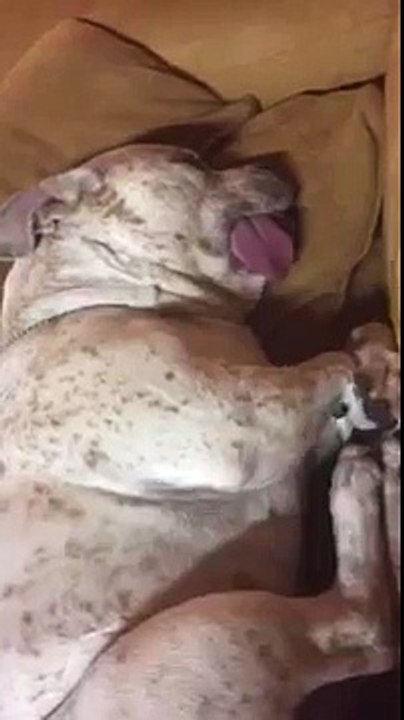 Соня | Sleepyhead | Endormi