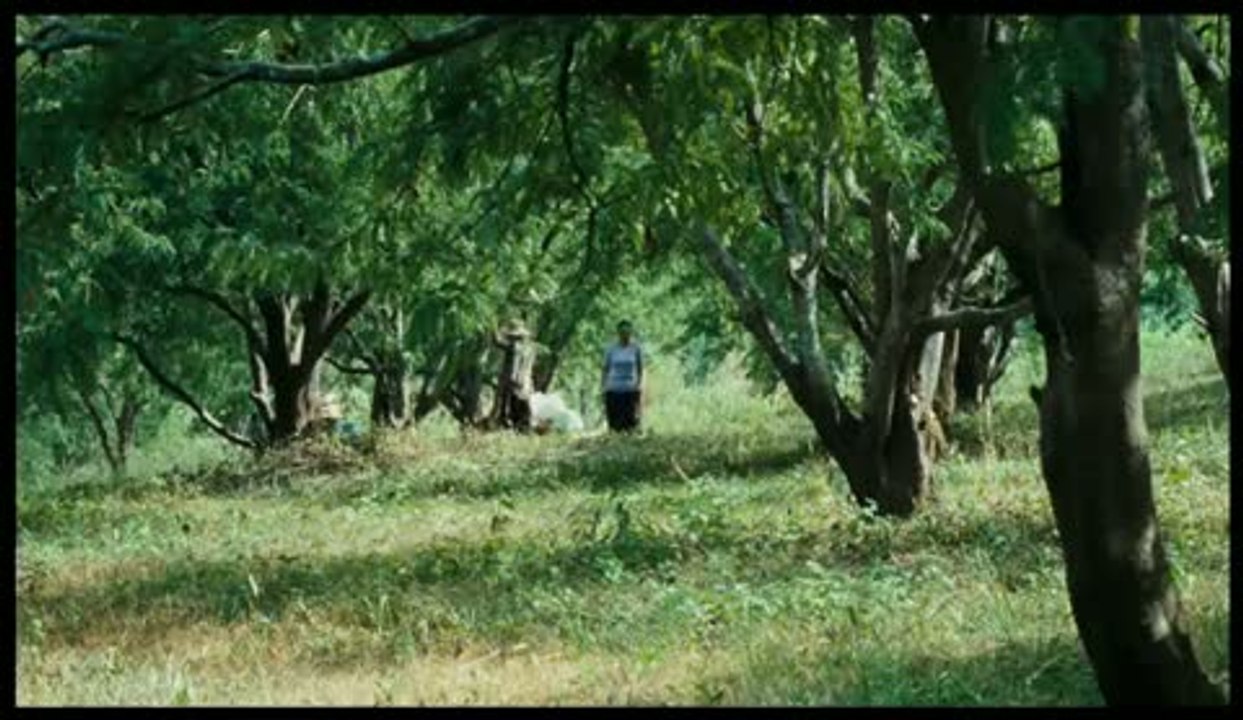 Bande-annonce : Oncle Boonmee (celui qui se souvient de ses vies antérieures) VOST