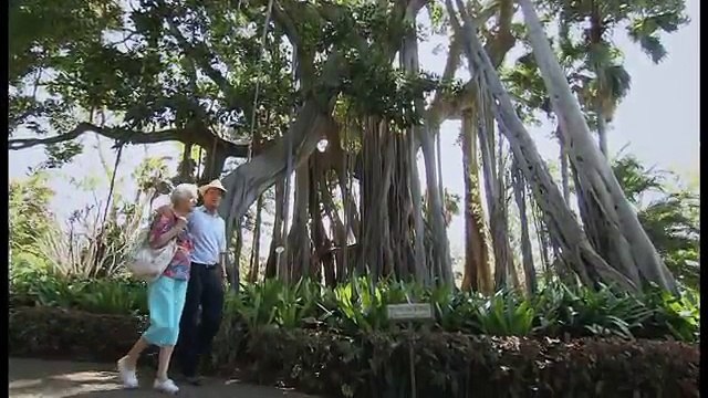 Fred. Olsen Cruise Lines - Boudicca Cruise Ship