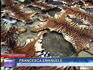 The Real USA - Environmental Film Festival draws crowds in DC