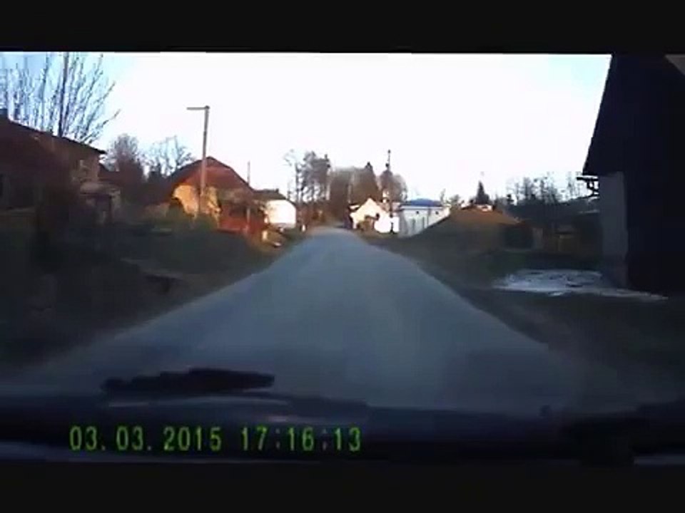 WTF : un enfant et son chien se promènent devant un automobiliste