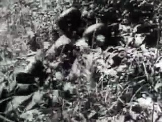 Die Deutsche Wehrmacht Mein Guter Kamerad