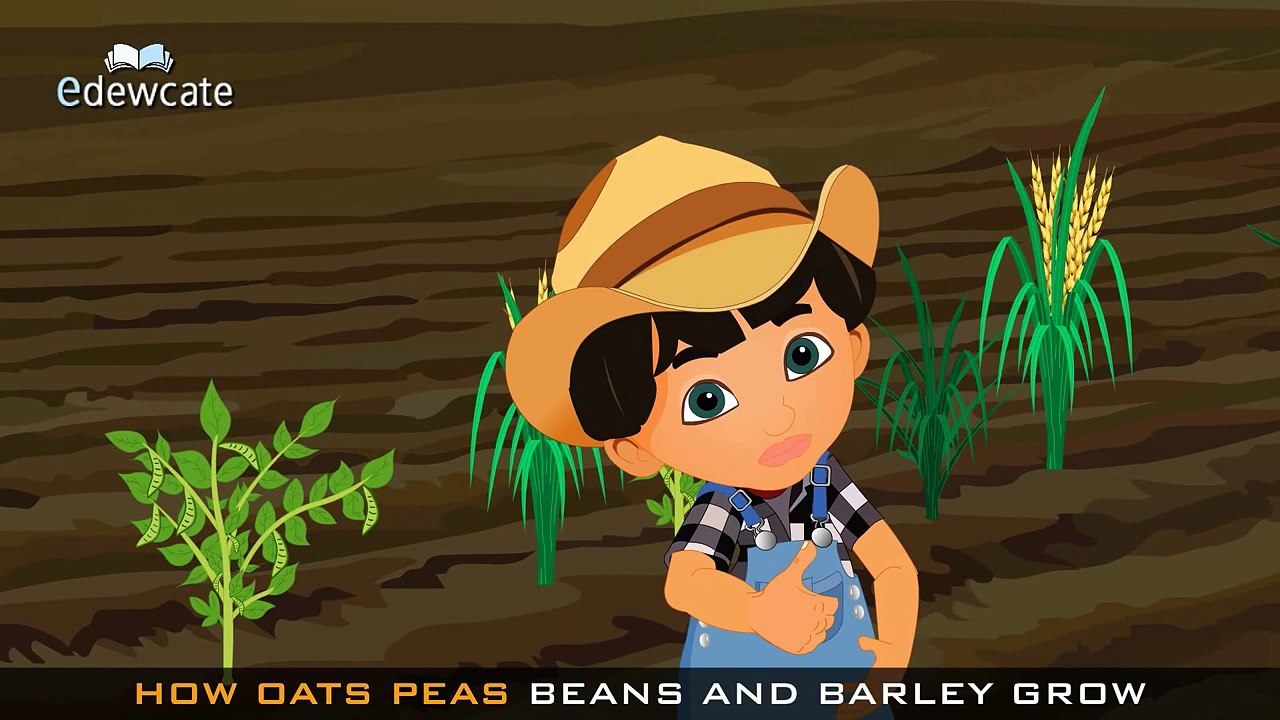 Edewcate english rhymes - Oats peas beans and barley grow