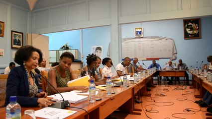 Conseil municipal de la ville du Robert du jeudi 09 avril 2015 - 2/7