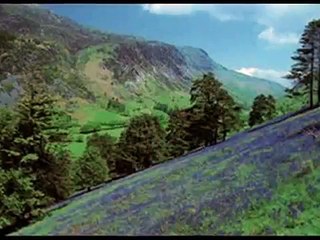 All through the Night