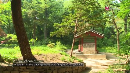 Kings of Joseon intoxicated by the back gardens 후원에 도취되었던 조선의 왕들