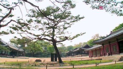 Changgyeonggung palace 창경궁