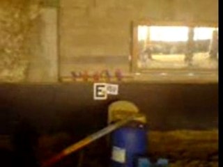 saut d'obstacle avec kiznogoud et bessma