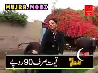 download mujra player player hot pakistani mujra video 1441 33_7 videosong