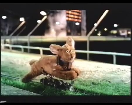 Opening to Chicken Run UK VHS (2000) (rental)