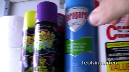 Big Spider Vs Silly String Attack