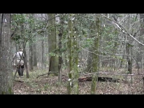 Ultimate Hog Hunting! Wild Hog Hunting! Wild Boar Hunting! Hog Hunting