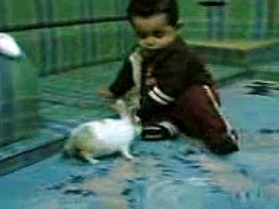 مقاطع مضحكه.3gp