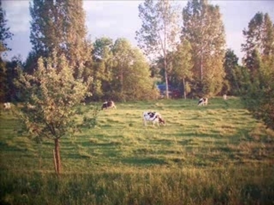 KAMINI EN LEGO
