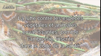 Le #FlashAgri85 du mercredi 15 avril 2015