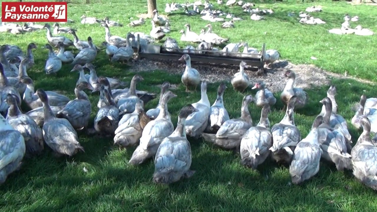 Canards gras Aveyron CEPSO