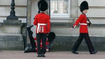 Un garde de Buckingham Palace chute devant des dizaines de touristes : la honte!