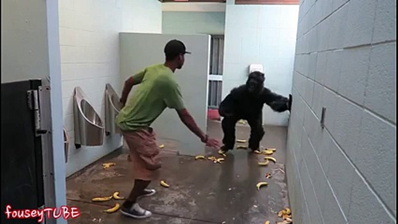 ESCAPED GORILLA BATHROOM PRANK - Best TimePass