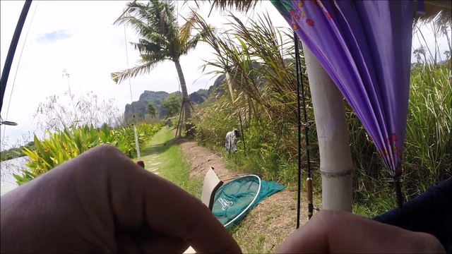 Carp Fishing on the drop, using float. Fishing in Thailand