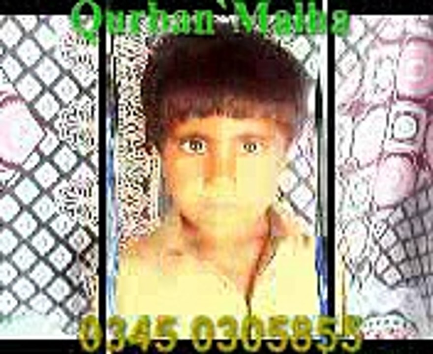 Qurban Ali Khipro