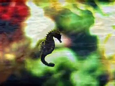 Allah hoo Allah hoo Naat _ Tune.pk