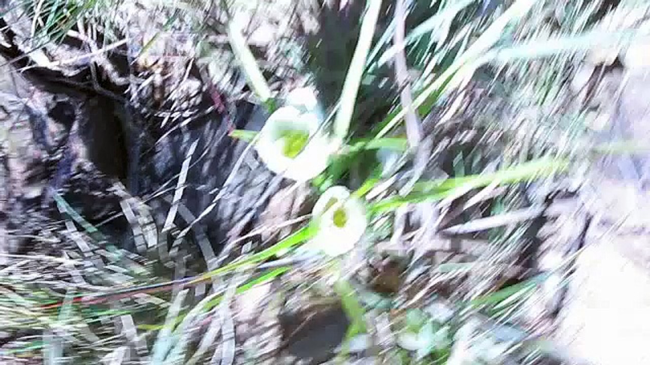 South Africa Part one