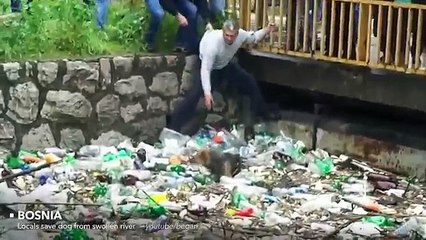 Faith in humanity restored