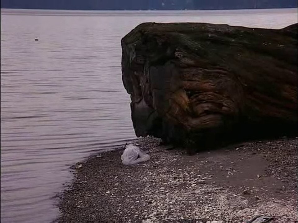The Black Lake