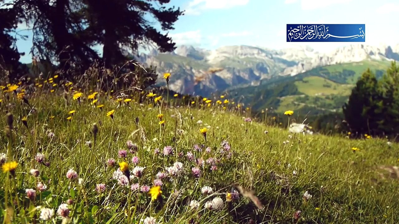 Fecr Suresi Full-Surah al Fajr-Muhammad Anwar- سورة الفجر (HD quality nature video)Tur.Arb.Eng.Sub.