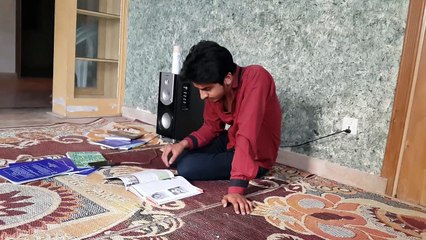 insect killer spray by shughlee vines