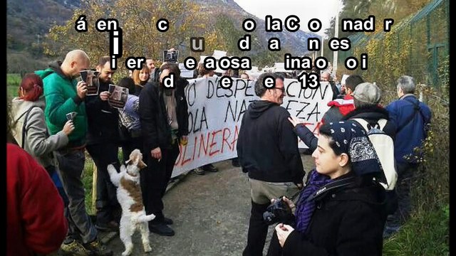 Ecologistas esperan que osa encontrada en Belmonte no termine encerrada en un zoo