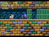 Sonic 3 and Knuckles Glitches and Oversights - Hydrocity Zone