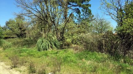 A vendre - Terrain - Grimaud (83310) - 1 405m²