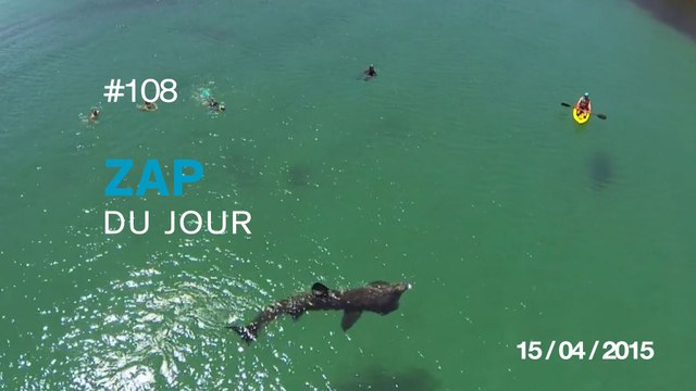 ZAP DU JOUR #108 : L'armée Russe chante Barbie girl / Renaud Lavillenie et son backflip /