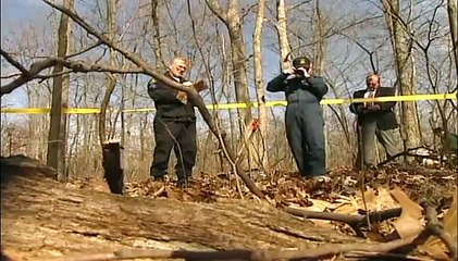 The New Detectives - Without a Trace