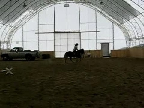 Canelle la Tulipe et Moi - Obstacle(X)