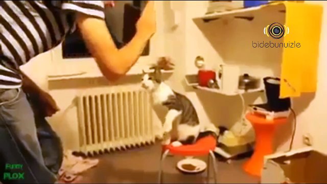 Çak bi beşlik