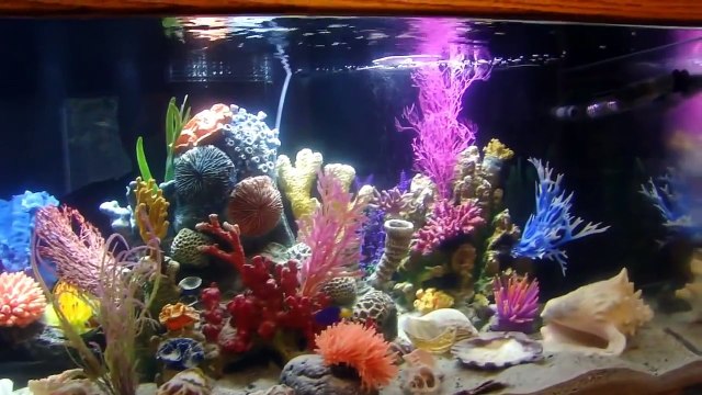 120 Gallon Saltwater Aquarium Artificial Reef with Fish