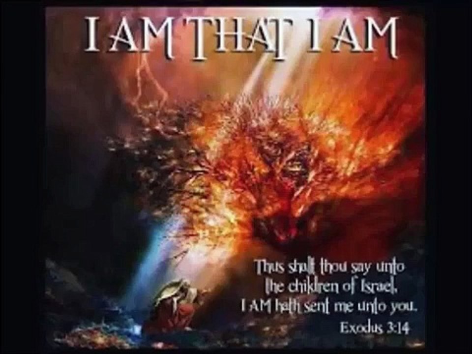 What you arent told about the Ebola outbreak and how to heal yourself from it