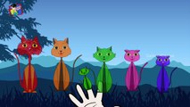 Funny Cats Finger Family | Nursery Rhymes for Children | Cartoon Rhymes