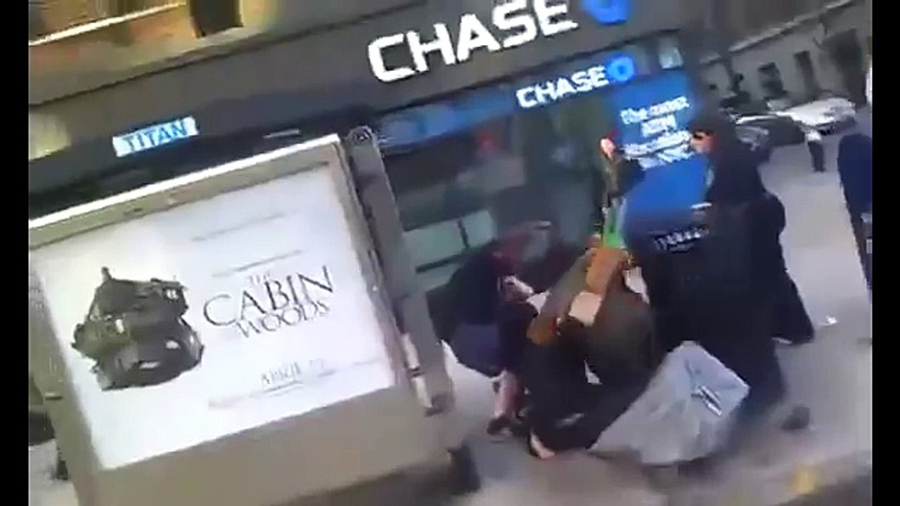 Pitbull attack