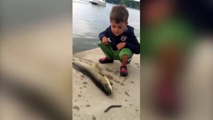 Fish slapped the boy