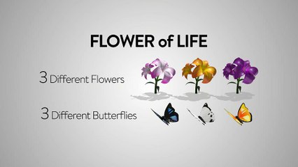 After Effects Project Files - Flower of Life - VideoHive 9666585