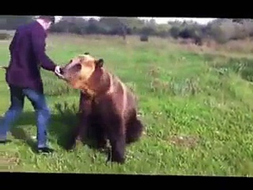 The Most Talented Bear Ever