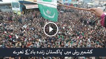 Pakistan Zindabad Chant in Kashmir Rally - Enraged Indian press takes on Kashmiris for waving Pakistani flag