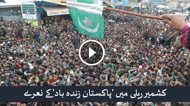 Pakistan Zindabad Chant in Kashmir Rally - Enraged Indian press takes on Kashmiris for waving Pakistani flag