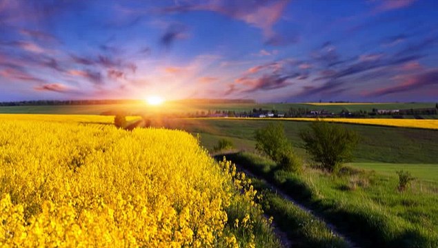 Positive Thinking Relaxation Meditation Music,Relaxing Nature Sounds, Zen Meditation,Massage Music