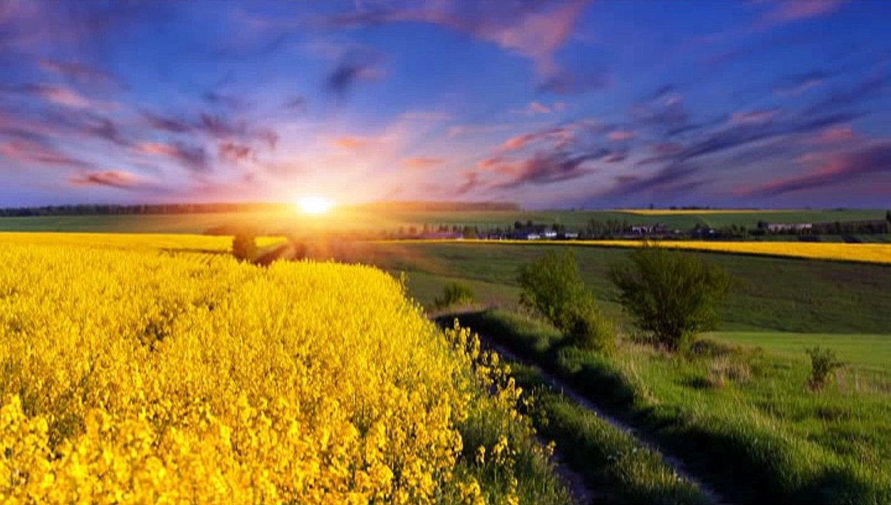 Positive Thinking  Relaxation Meditation Music,Relaxing Nature Sounds, Zen Meditation,Massage Music