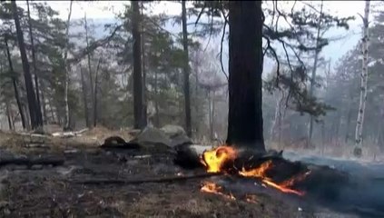 Russie : au moins 26 morts dans de gigantesques incendies en Sibérie