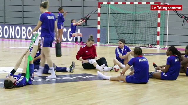 Brest. Les bleues handballeuses en stage